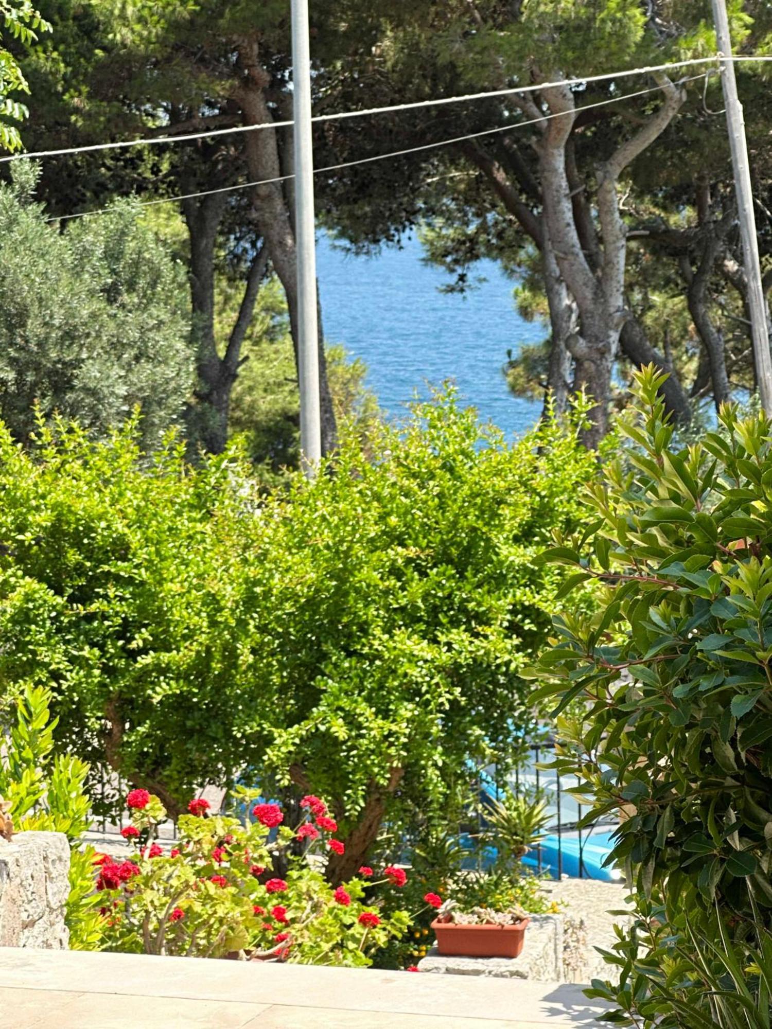 Villetta Dagre Fronte Mare Marittima Eksteriør billede